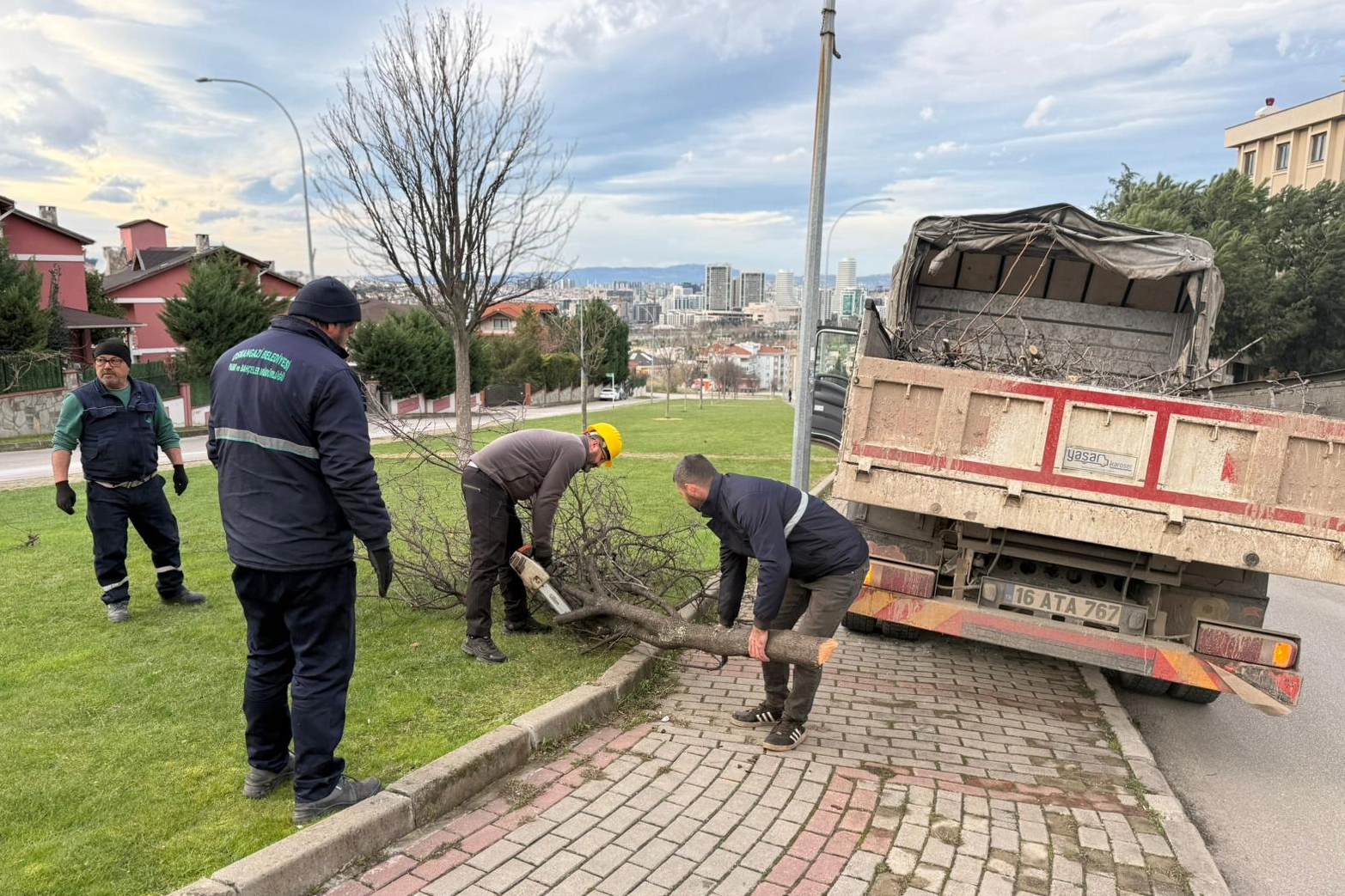 Bursa'da şiddetli lodosun devirdiği ağa&ccedil;lara Osmangazi'den anında m&uuml;dahale