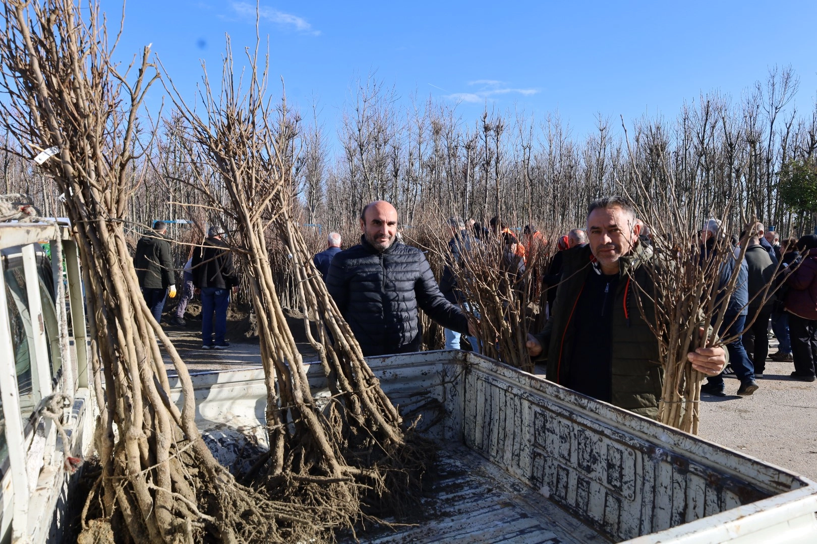 Kocaeli'de &uuml;reticilere y&uuml;zde 50 hibeli fidan dağıtımına devam