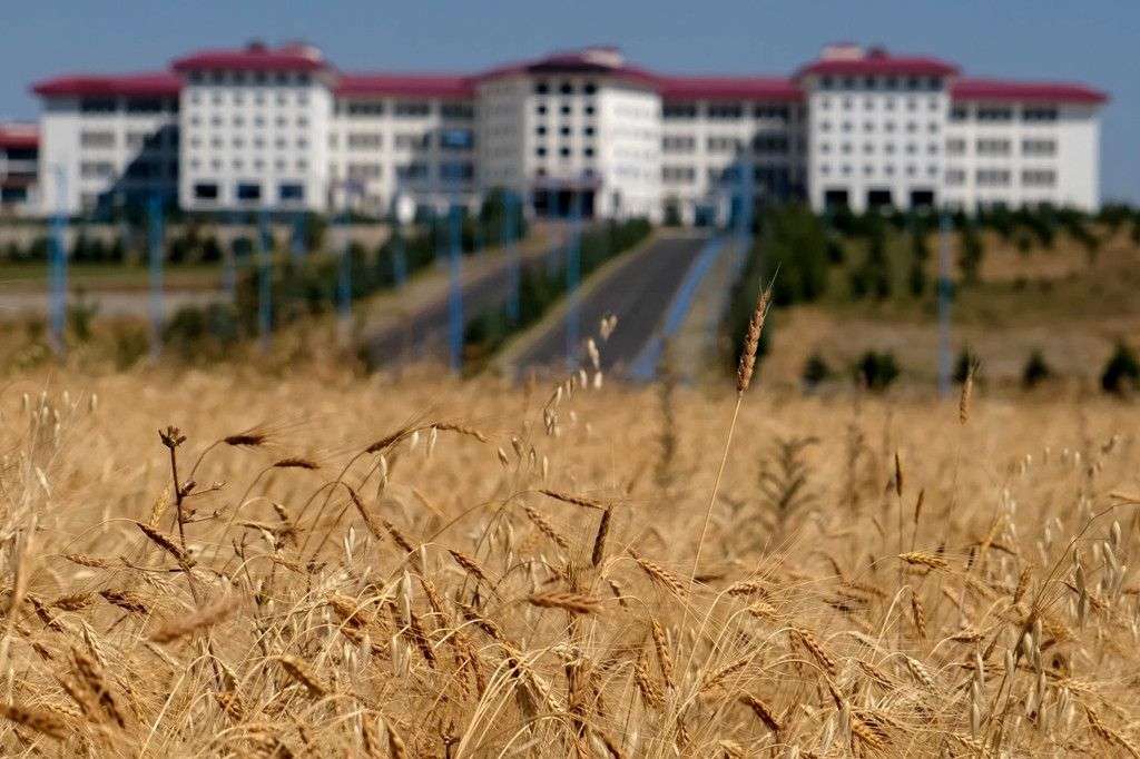 Ardahan Üniversitesi 13 bin yıllık ata tohumunu yeniden yeşertti 