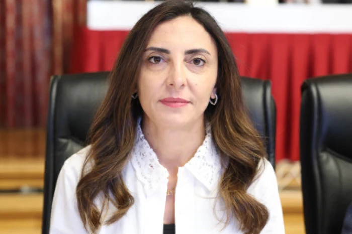 Milletvekili Nurhayat Altaca Kayışoğlu staj ve &ccedil;ırak s&uuml;relerini TBMM g&uuml;ndemine taşıyor